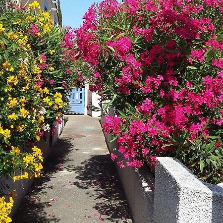 Les Amandines Βίλα Agde Εξωτερικό φωτογραφία